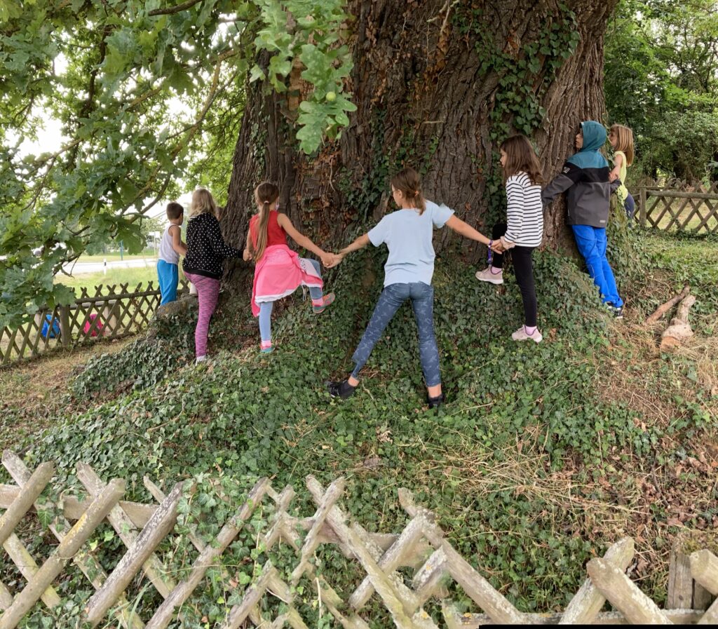 Eine Gruppe an Kindern im Grundschulaltern stehen um einen sehr dicken Baum herum. Sie halten sich an den Händen, sodass sie den Baum umarmen.