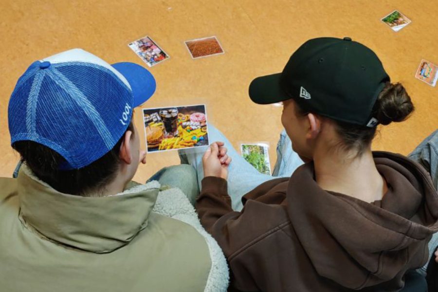 Projektarbeit an Schulen